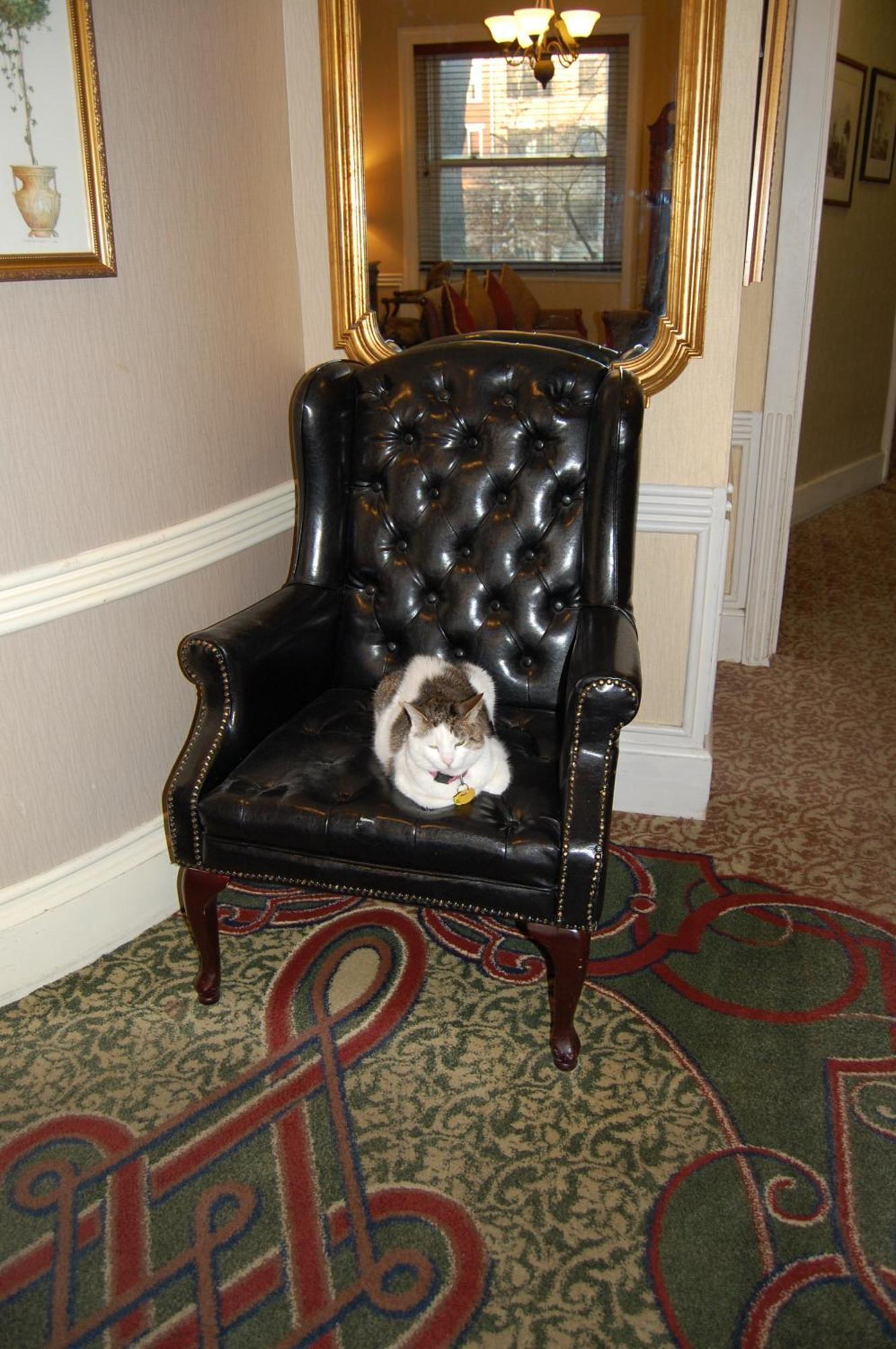 Windsor Inn Hotel วอชิงตัน ภายนอก รูปภาพ